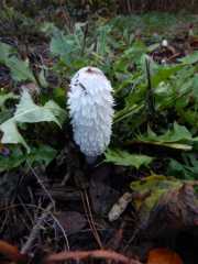 DSCN4188.JPG