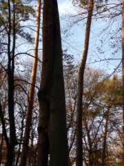 DSCN4193.JPG