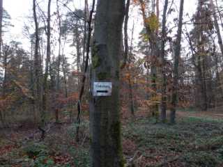 DSCN4197.JPG