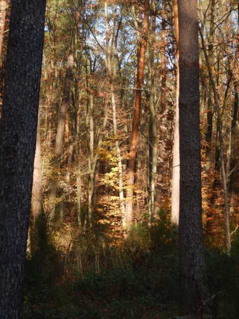 DSCN4187.JPG