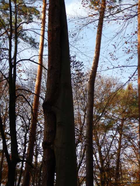 DSCN4193.JPG