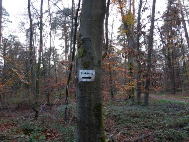 DSCN4197.JPG