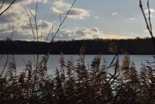 DSC_2158.JPG