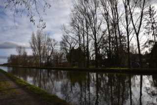 DSC_2332.JPG