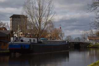 DSC_2333.JPG