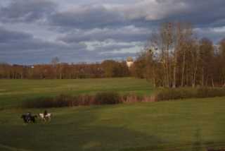 DSC_2340.JPG