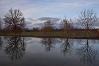DSC_2343.JPG