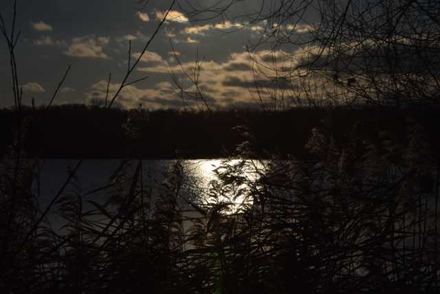 DSC_2152.JPG