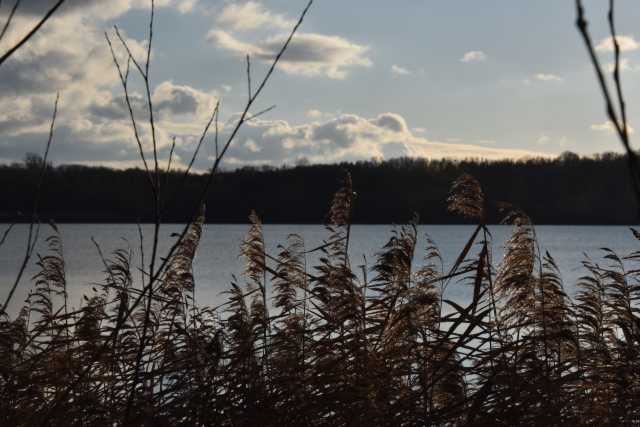 DSC_2158.JPG