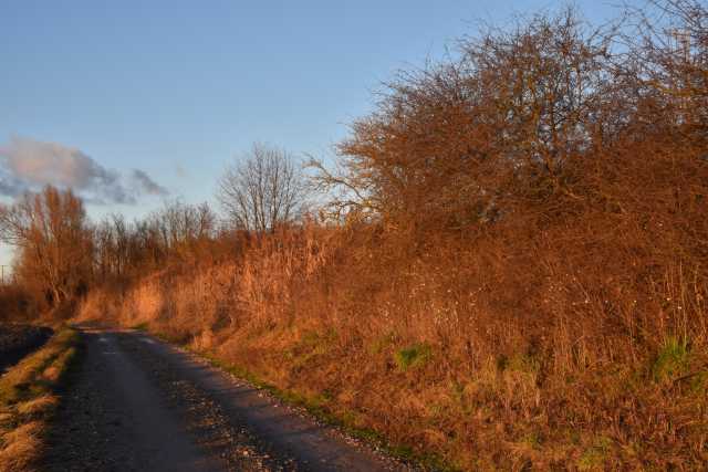 DSC_2176.JPG