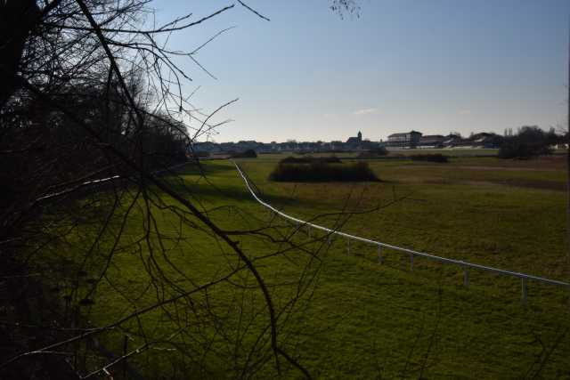 DSC_2203.JPG