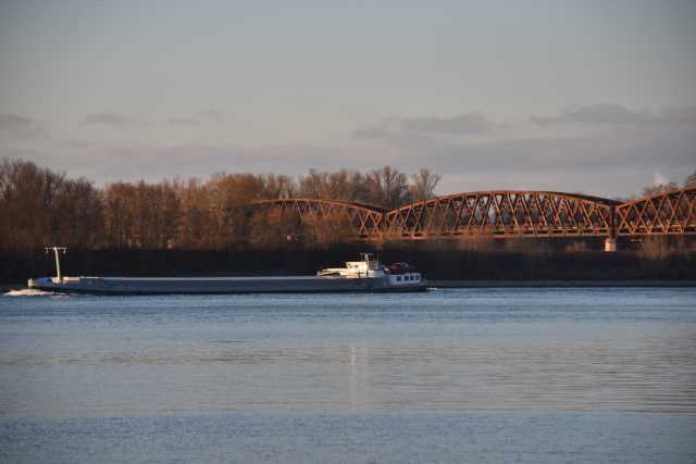 DSC_2217.JPG