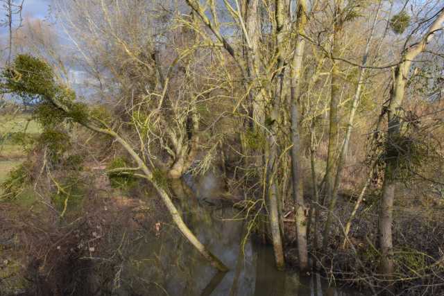 DSC_2331.JPG