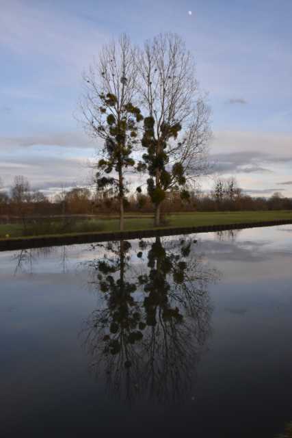 DSC_2342.JPG
