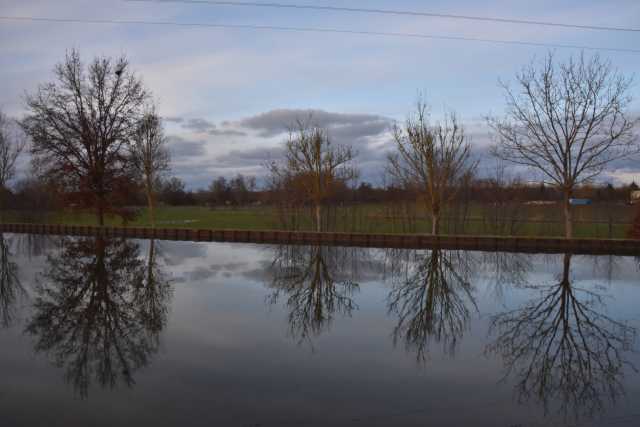 DSC_2343.JPG