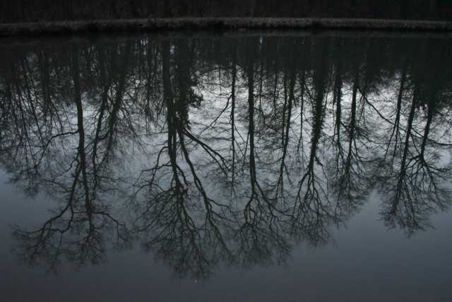 DSC_2346.JPG