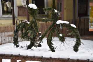 DSC_2416.JPG