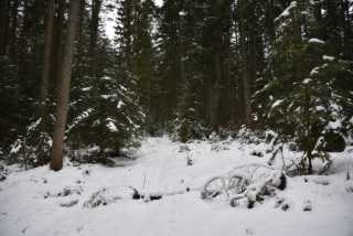 DSC_2435.JPG
