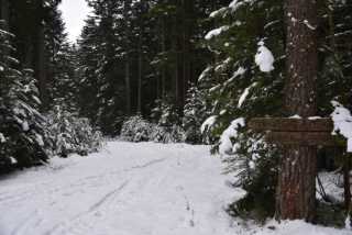 DSC_2439.JPG