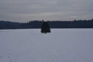 DSC_2440.JPG