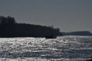 DSC_2451.JPG