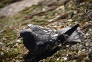 DSC_2461.JPG