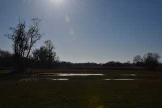 DSC_2465.JPG