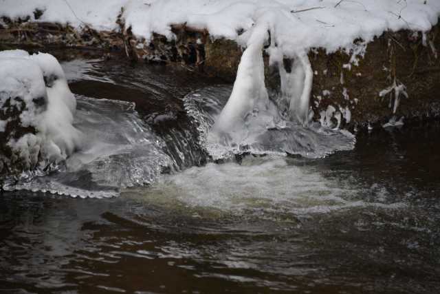 DSC_2421.JPG