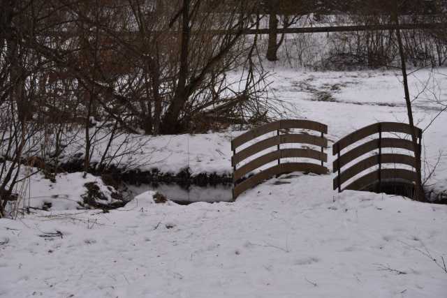 DSC_2423.JPG