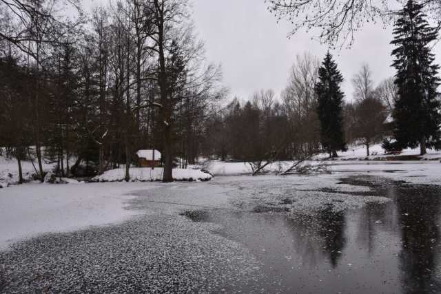 DSC_2424.JPG