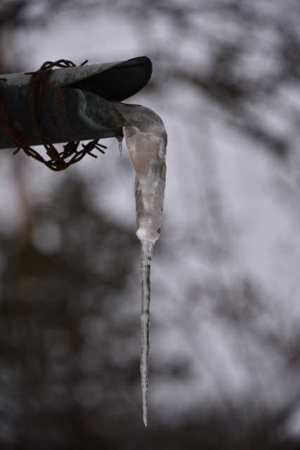 DSC_2429.JPG
