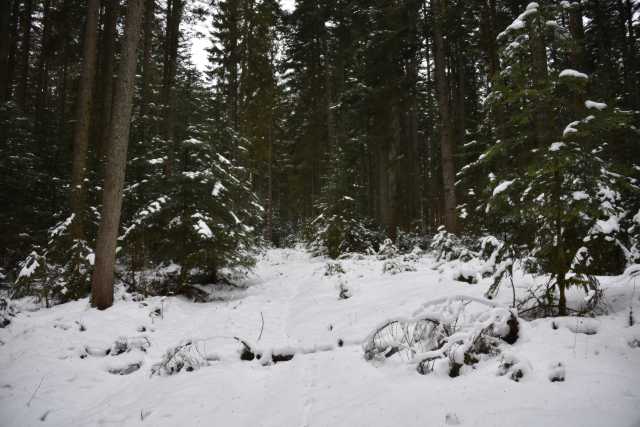 DSC_2435.JPG