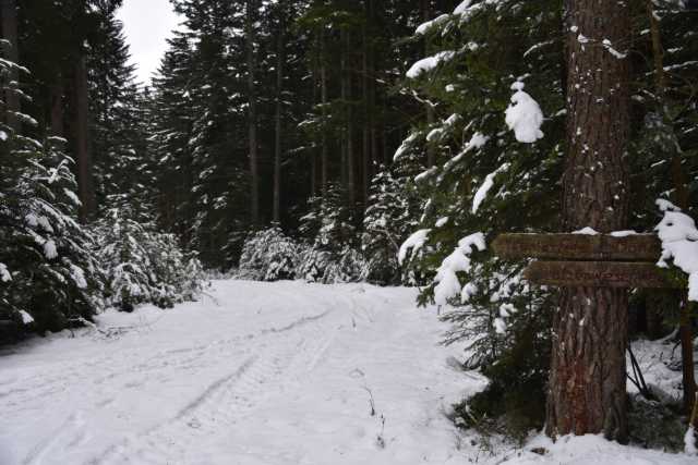DSC_2439.JPG