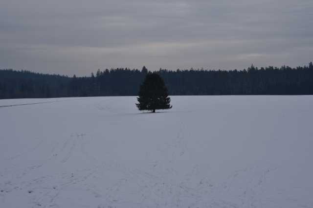 DSC_2440.JPG