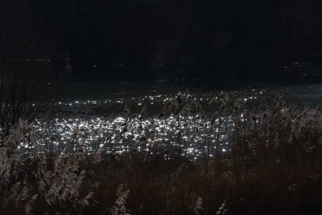 DSC_2446.JPG