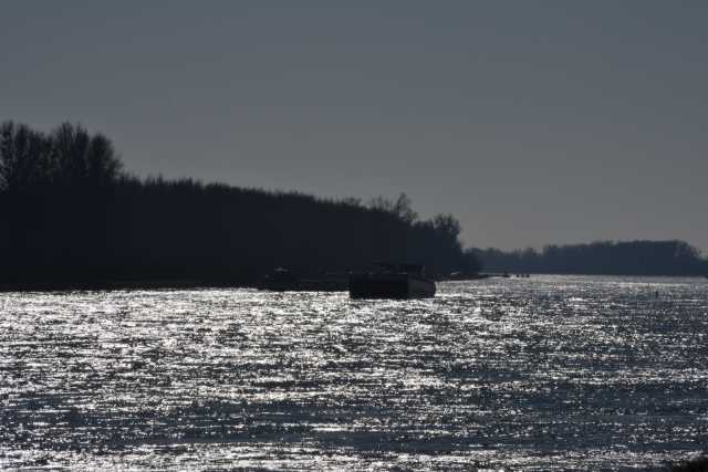 DSC_2451.JPG