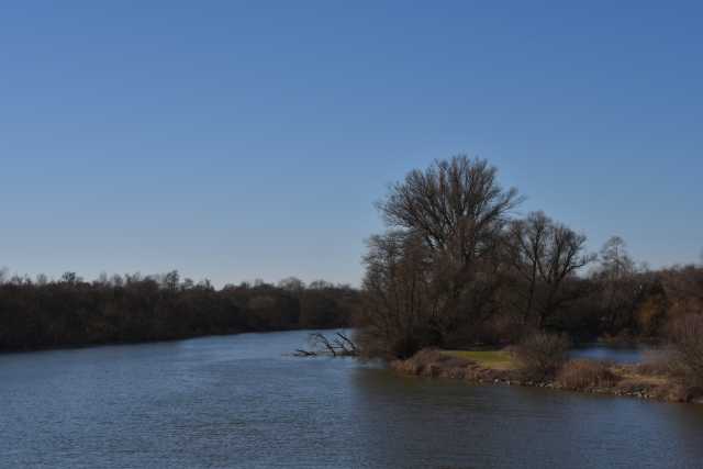 DSC_2453.JPG