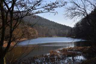 DSC_2475.JPG
