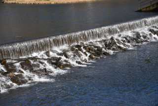 DSC_2479.JPG