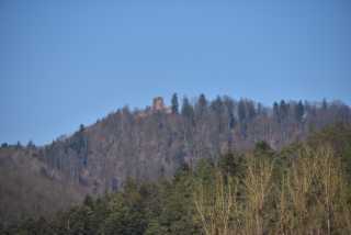 DSC_2482.JPG