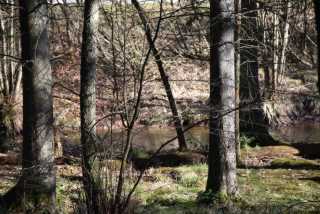 DSC_2484.JPG