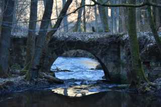 DSC_2485.JPG