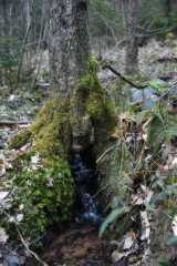 DSC_2488.JPG