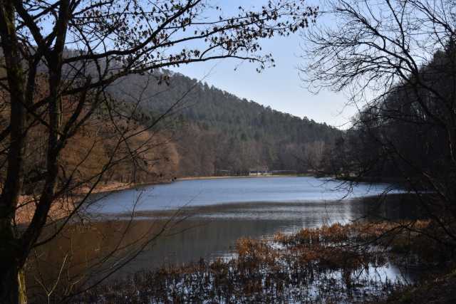 DSC_2475.JPG
