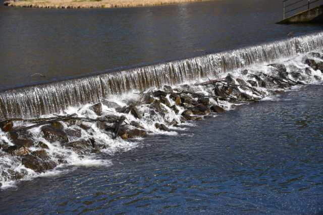 DSC_2479.JPG