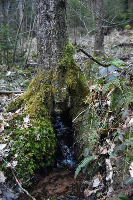 DSC_2488.JPG