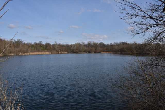DSC_2531.JPG