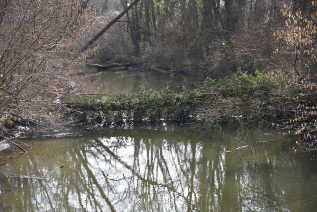 DSC_2532.JPG