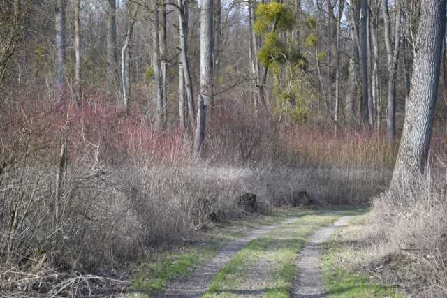 DSC_2540.JPG