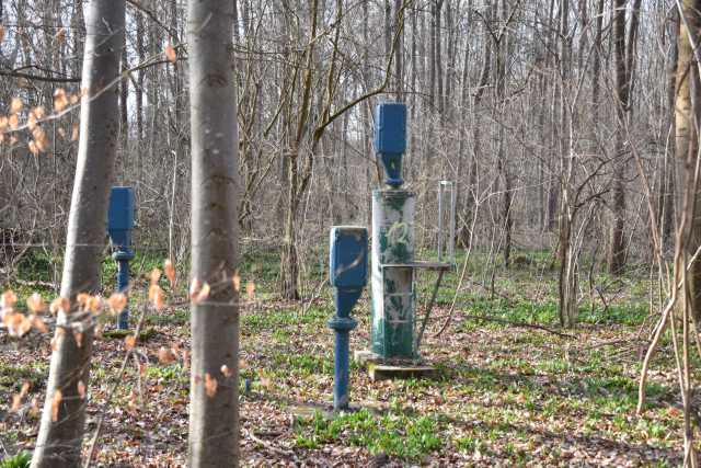 DSC_2544.JPG
